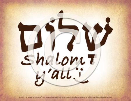 Shalom Y'All in Hebrew - PDF